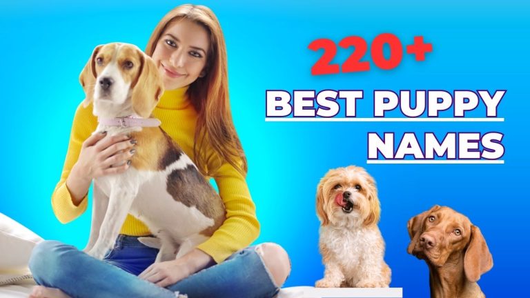 Best Puppy Names